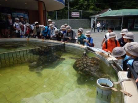 写真:下田海中水族館見学の様子2