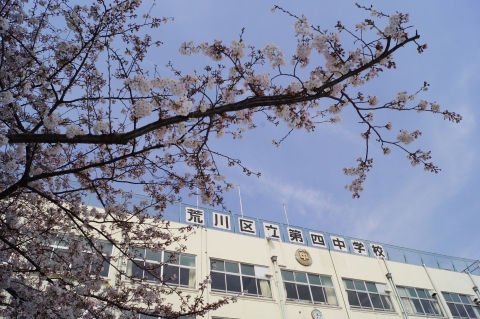 写真:校舎と桜