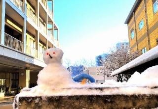 写真:雪だるま