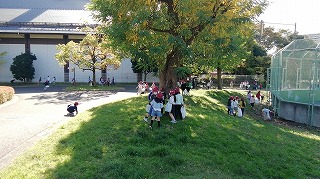 写真:秋の遠足(1年生)6