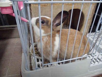 写真:2学期が始まりました5