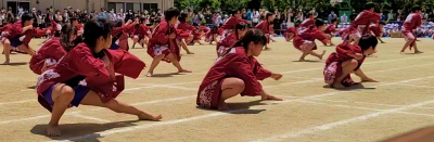 写真:運動会7