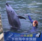 写真:下田海中水族館1