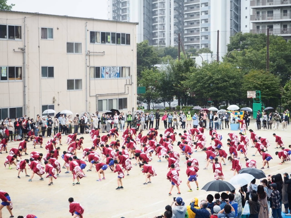 写真:運動会6