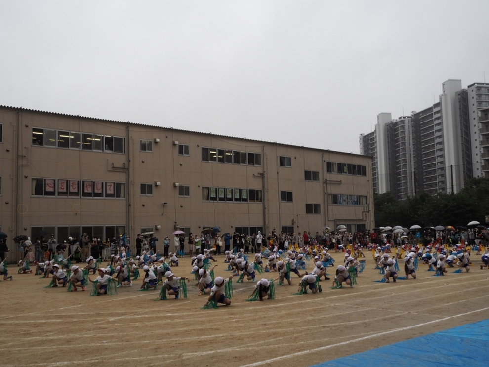 写真:運動会2