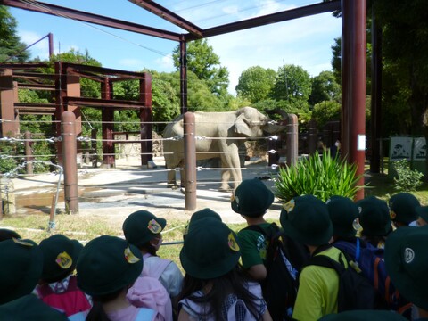 動物園