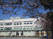 写真:学校の風景春3