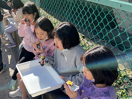 写真:太陽光で焼き芋3