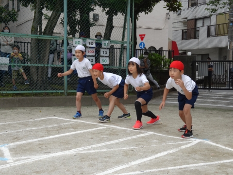 写真:運動会1