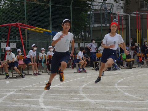 写真:運動会6