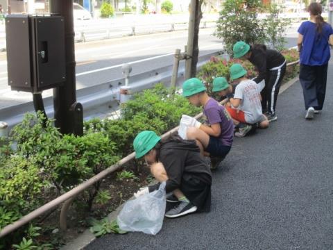 写真:地域清掃