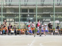 写真:運動会6