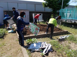 写真:植え付け