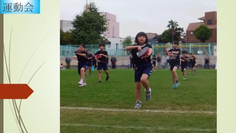 写真:令和2年度　運動会9