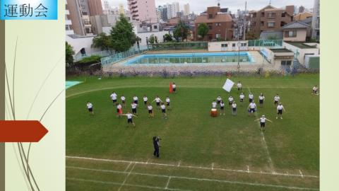 写真:令和2年度　運動会11