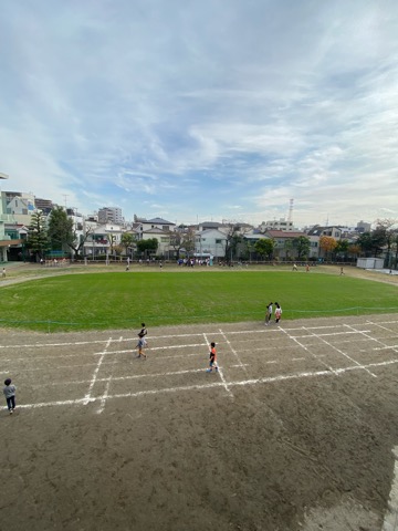 写真:校庭の緑　復活中1