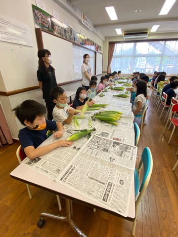 写真:2年生　とうもろこしの皮むき1