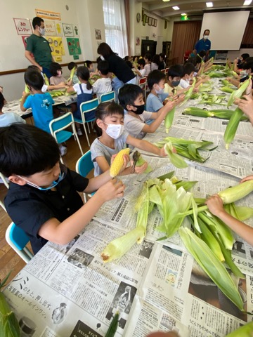 写真:2年生　とうもろこしの皮むき2