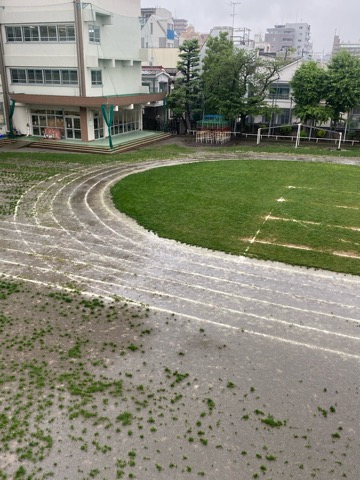 写真:運動会前々日1