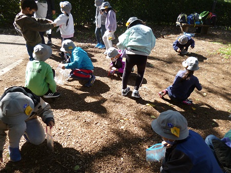 写真:飛鳥山公園2