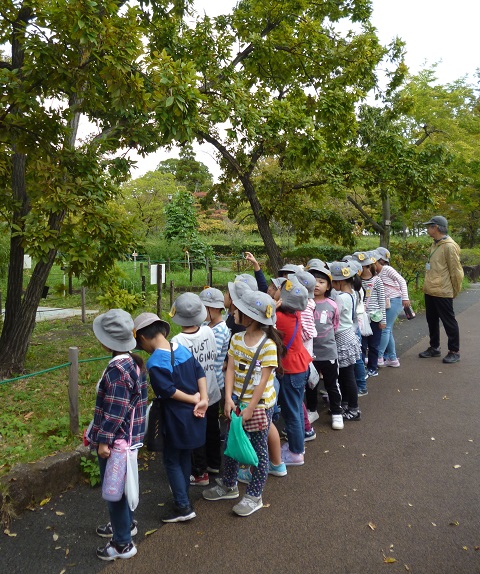 写真:秋さがし3