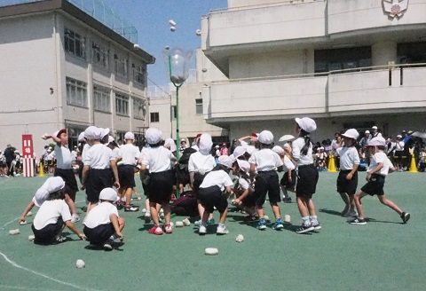 写真:運動会　団体競技(玉入れ)1