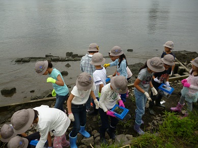 写真:水辺でカニを探す様子