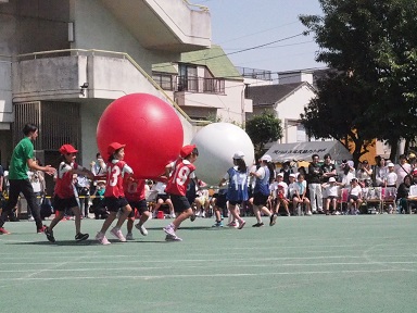 写真:運動会の様子4