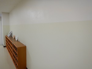写真:綺麗になった壁の様子3