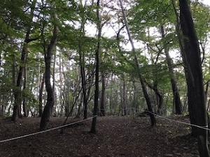 写真:山道