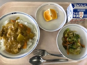 写真:給食　カレー・大根サラダ・オレンジ・牛乳