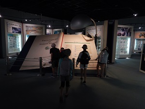 写真:地球博物館2