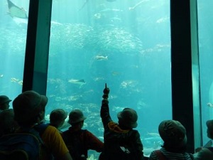 写真:水族館