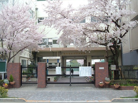 写真:校門と桜の木