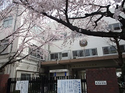 校門の桜