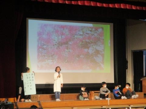 写真:学習発表会2