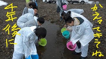 写真:稚魚を放流「4年後にかえってきてね」