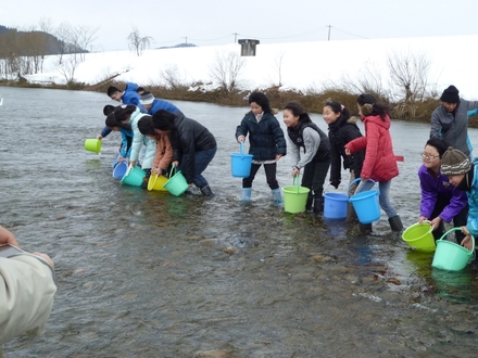 写真:川の中でバケツを持つ子どもたち