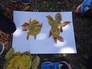 写真:落ち葉で作った絵2