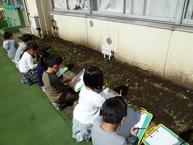 写真:観察をしている様子