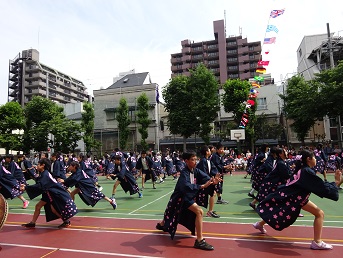 写真:運動会3