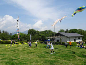 写真:飛んで、飛んで、飛んで2