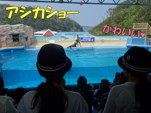 写真:下田海中水族館1