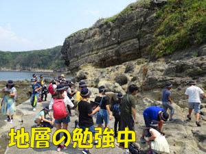 写真:えびす島