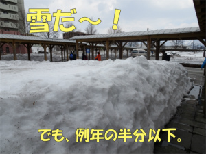 写真:雪は・・・1