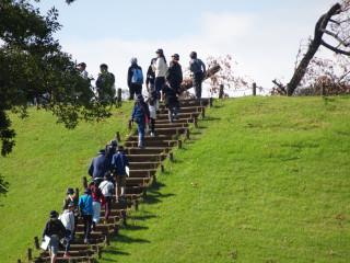 写真:山梨県立考古博物館2