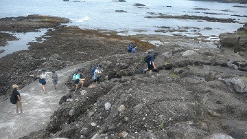 写真:恵比寿島8