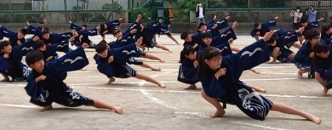 写真:三日ソーラン