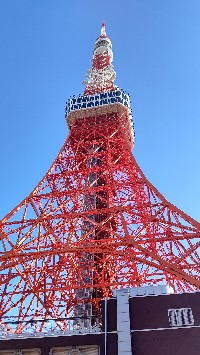 写真:東京タワー1