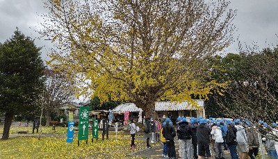 写真:柿田川公園